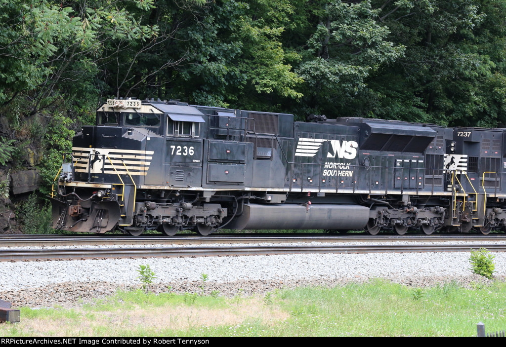 NS 7236